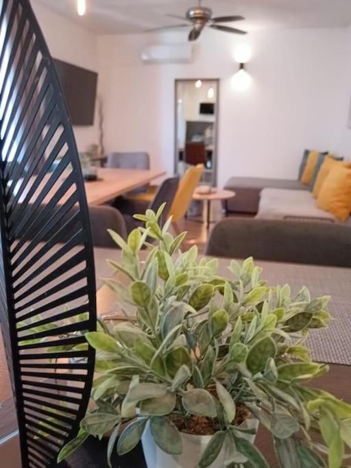 Holiday&Suite Klanac Vir Εξωτερικό φωτογραφία